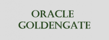 Image for the Oracle GoldenGate